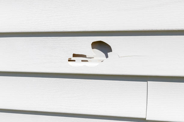 Best Weatherproofing and Sealing  in Lookout Mountain, AL
