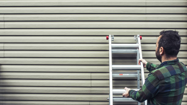Best Stone Veneer Siding  in Lookout Mountain, AL